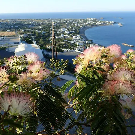 Eastern Wind Semesterbostad *